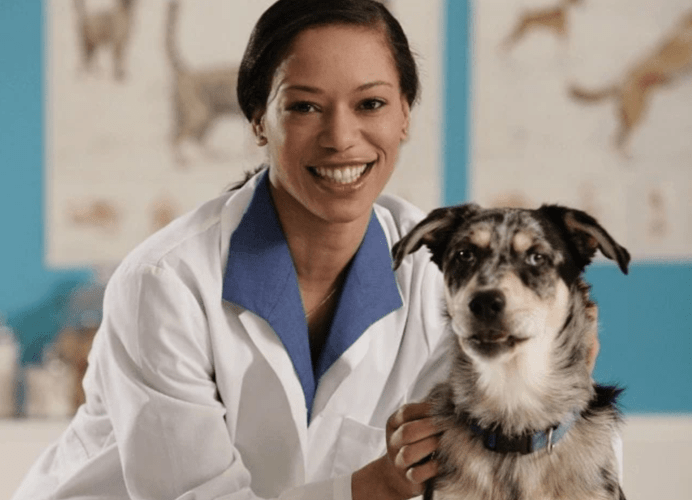 LE QUALITÀ ESSENZIALI DEL MEDICO VETERINARIO MODERNO 