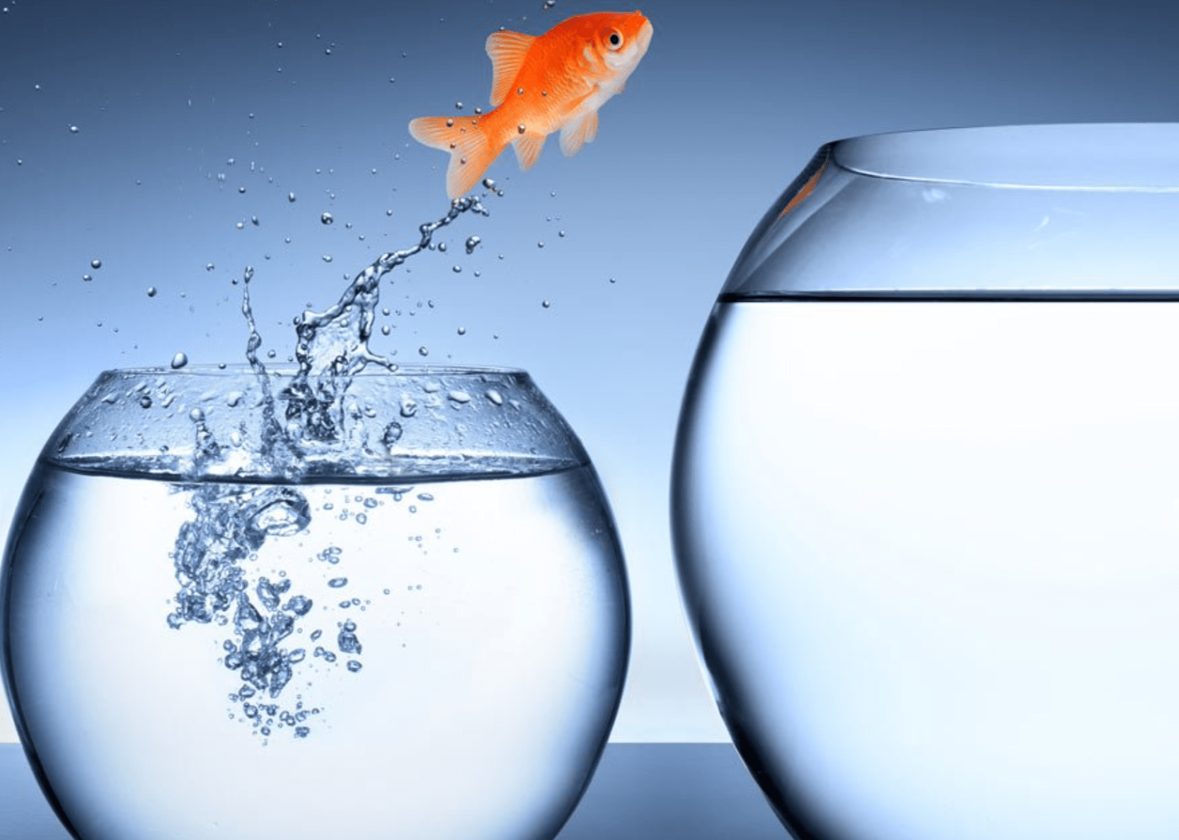 COSA PROVI QUANDO DECIDI DI AFFRONTARE UN CAMBIAMENTO?